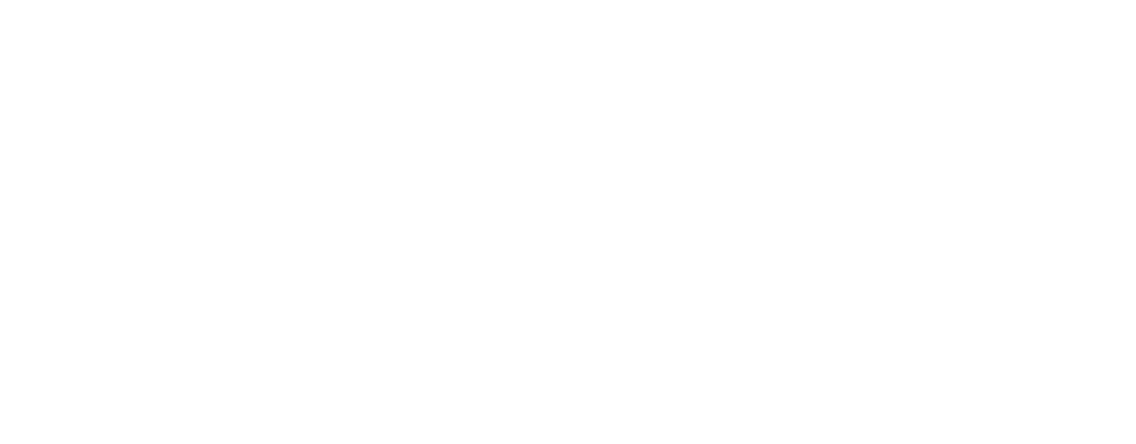 Torrington Inversiones
